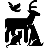 Hayvanlar